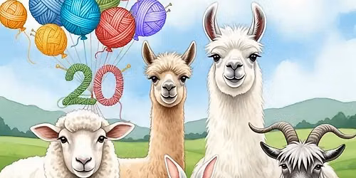 March 2027 Monthly Guild Meeting - Preparing for Carolina Fiber Fest