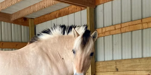 Freedom Riders - Equestrian Program 10\/13\/2026 - 12\/8\/2026