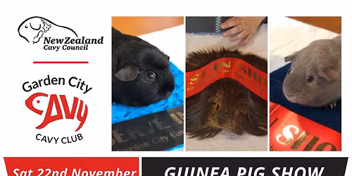 GUINEA PIG SHOW - Christchurch