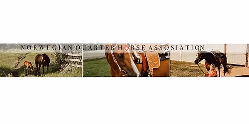 NQHA clinic med Gina p\u00e5 Stall Aalerud - Fullbooket