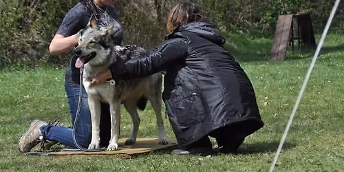 Jarn\u00ed svod a bonitace KCH\u010cSV Morava, Volebn\u00ed oblastn\u00ed sch\u016fze \u010dlen\u016f Moravy