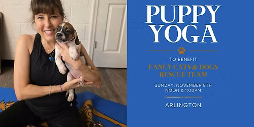 Puppy Yoga To Benefit Fancy Cats & Dogs