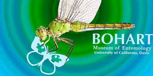 Bohart Bugs at the Library