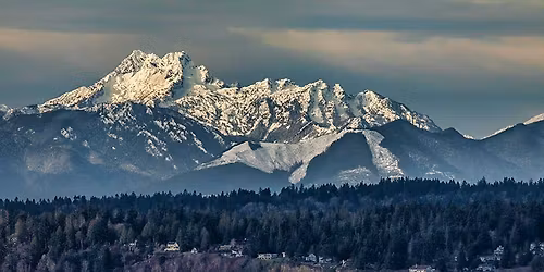 Beginners Photo Walk