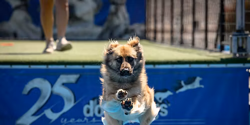 Hogs and Dogs with Keystone DockDogs\u00ae