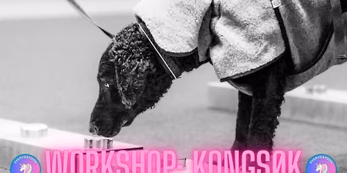 Workshop -Kongs\u00f8k med Everydaydog