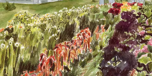 Annual Plant Sale