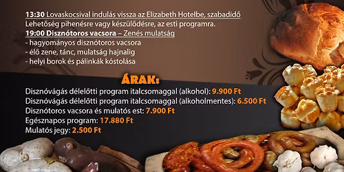 Eg\u00e9sznapos diszn\u00f3toros d\u0151zs\u00f6l\u00e9s-Diszn\u00f3v\u00e1g\u00e1s,diszn\u00f3toros mulats\u00e1g