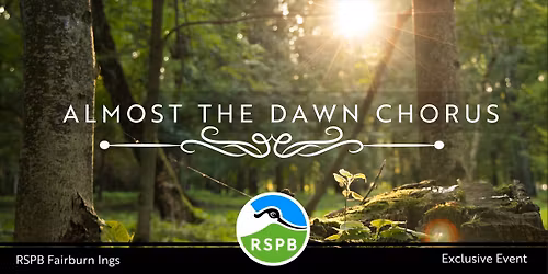 Almost the Dawn Chorus- RSPB Fairburn Ings