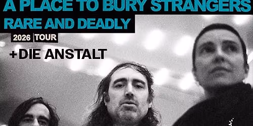 A Place To Bury Strangers