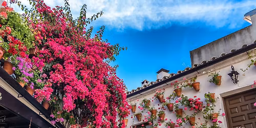 SEVILHA & P\u00c1TIOS DE C\u00d3RDOBA | 2 DIAS\/1 NOITE 265\u20ac