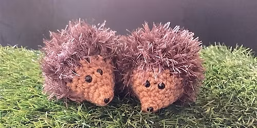Hunsbury Hedgehogs June 2026