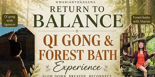 Qi gong and Forest Baths