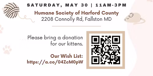 Kitten Shower