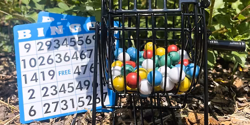 \ud83c\udf3c Blooming Bingo for Seniors & Older Adults | Win Wildflowers | Land O' Lakes Heritage Park | Free!