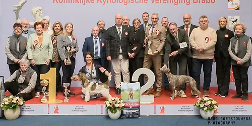 60th Antwerp Dog Show