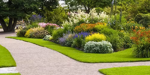 Willamette Rose | Urban Forest Bath & River Walk