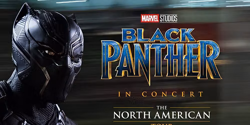 Black Panther in Concert