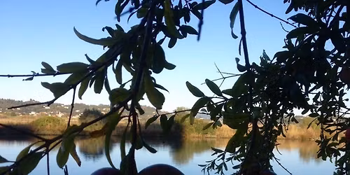 Meditativ cirkeldans med rituellt dansinslag. Tema Paradiset.