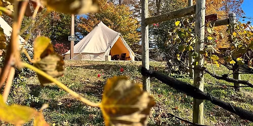 Wine Tents Return!