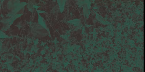 Basia Bulat in Shawinigan