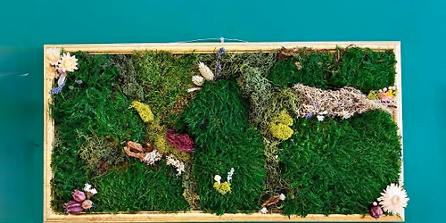 Mixed Moss Framed Art - Aug 1st Drop in between 11:00am - 3:00pm