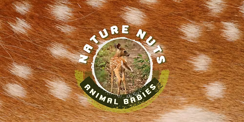 Nature Nuts: Animal Babies