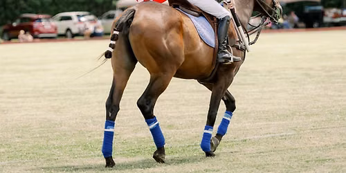 ๐บ๐ธ Stars & Stripes Tournament ๐บ๐ธ