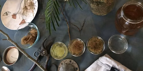 Plant Chemistry for Plant Nerds