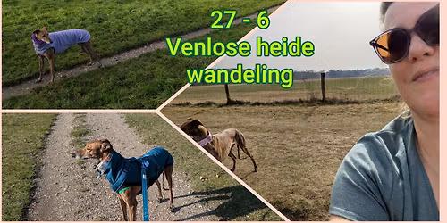 wandelen op de Venlose heide 