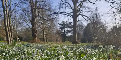 Belton House Snowdrops day trip by coach