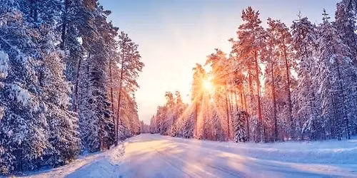 Winter Dreams - Concert 