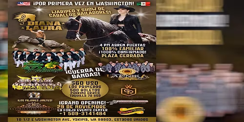 DIANA LAURA, BANDA LA PALMERA & MAS