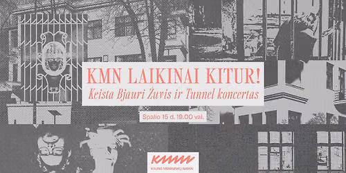 Keista Bjauri \u017duvis ir Tunnel koncertas | KMN laikinai kitur!