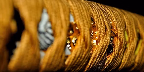 Bujinkan Annual Nordic Summer Camp 2026