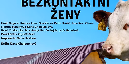 Bezkontaktn\u00ed \u017eeny \/\/ Divadlo v KD Zderaz