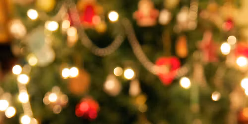 Christmas in Lee