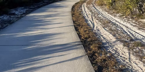 Step Into Nature: Morning Greenway Walk