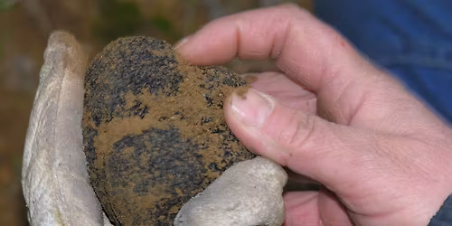 39e Omelette aux Truffes