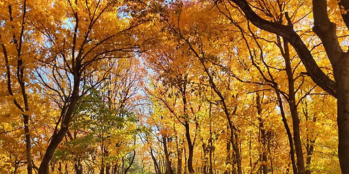 Fall Guided Nature Hike