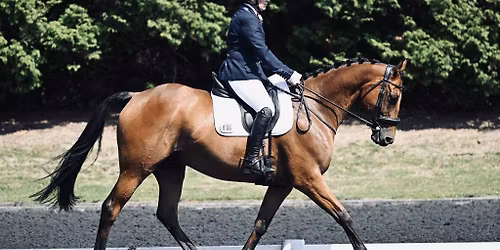 Flatwork or Jump with Emma Ellliott