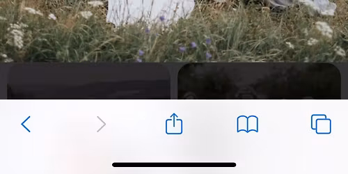 Br\u00f6llop, f\u00f6retagsfest, konferens, julbord, Musikquiz