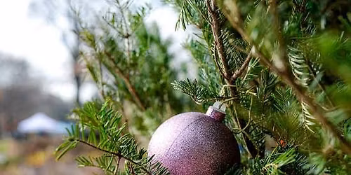 Winter Wonder at Queens Botanical Garden