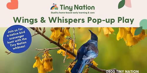 Wings and Whispers Tiny Nation Pop-Up Play Session