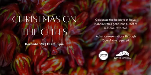 Christmas on the Cliffs at Jota at Royal Isabela