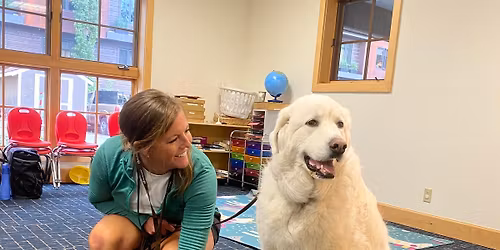 Pet Partners Team Evaluation