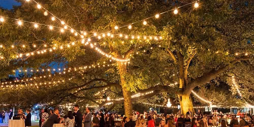 Party in the Park