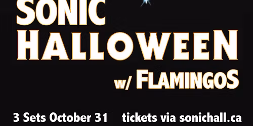 Friday the 31st | The Flamingos Sonic Halloween