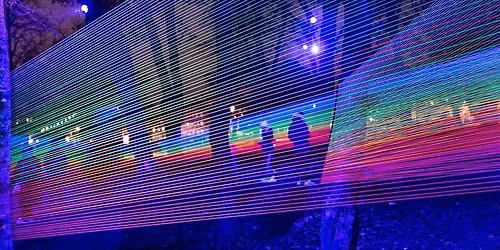 Pudelpromenad Allt ljus p\u00e5 Uppsala