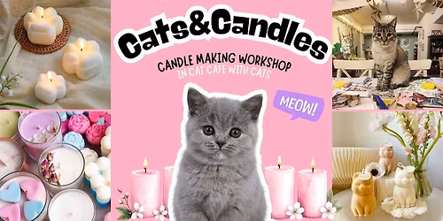 Cats&Candles: candle making workshop in cat cafe with cats - Leiden